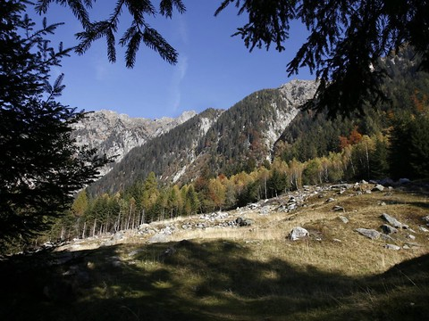 Importants feux de forêt aux Grisons et au Tessin
