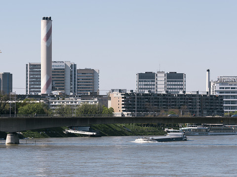 Novartis a vu son bénéfice net diminuer de 5% en 2016