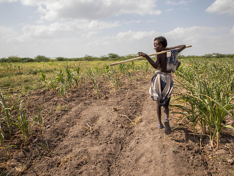 Corne de l'Afrique: six millions d'enfants menacés de famine