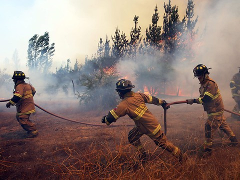 Plus de 40 personnes soupçonnées d'être à l'origine des feux de forêts au Chili