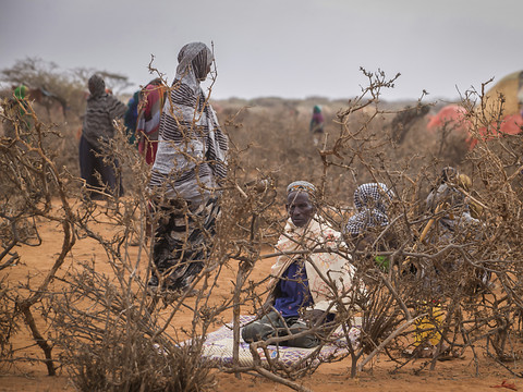 Corne de l'Afrique: la sécheresse menace 17 millions de personnes