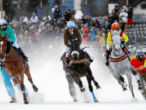 Accident à une course hippique à St-Moritz (GR)