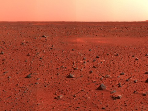 La pomme de terre pourrait pousser sur Mars (étude)