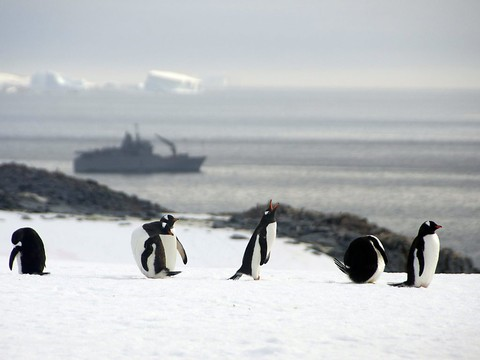L’Expédition circumpolaire antarctique a bouclé son périple