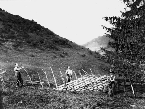Le pastoralisme alpin berno-valaisan remonte à 7000 ans