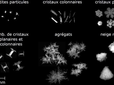EPFL/MétéoSuisse: les flocons de neige sous la loupe de chercheurs