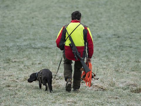La Thurgovie interdit la chasse au terrier