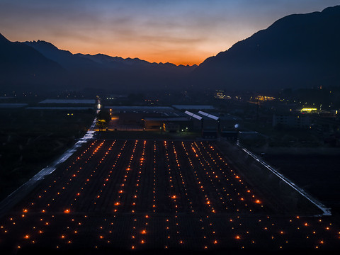 Le gel a causé des dégâts à la vigne valaisanne