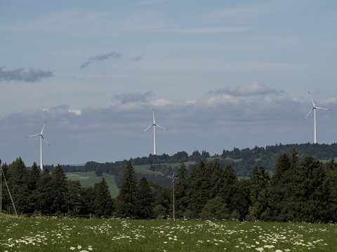 La plupart des partis défendent le oui le 21 mai