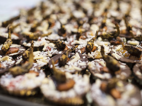 Insectes au menu dès le 1er mai: nutritionnistes dans l'expectative
