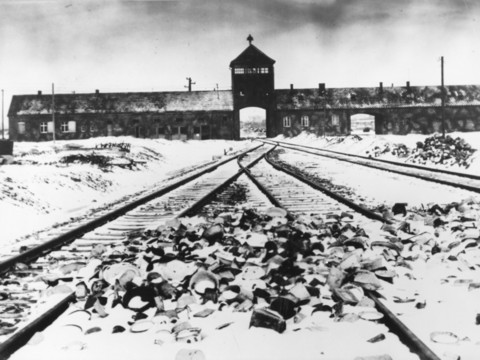 Portraits et récits des derniers survivants suisses de l'Holocauste