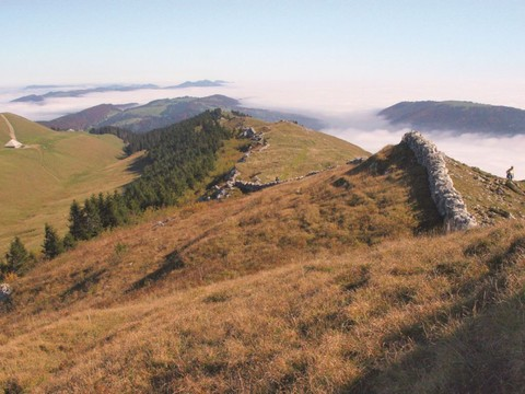 Nouvelle campagne de promotion des parcs suisses
