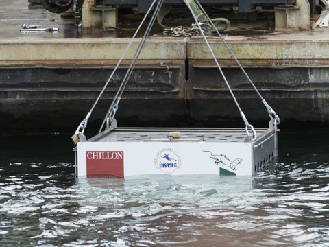 Des bouteilles de chasselas immergées dans le Léman