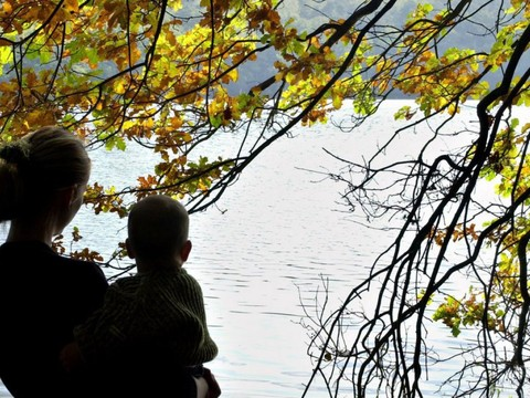 62 demandes déposées en 2016 pour enlèvement d'enfants