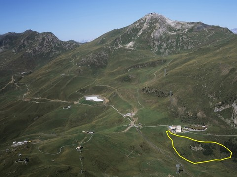 Le gouvernement des Grisons donne son feu vert au projet de parc aux ours à Arosa