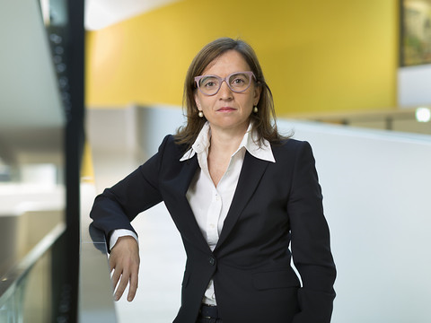 Femmes sous-représentées dans les instances dirigeantes