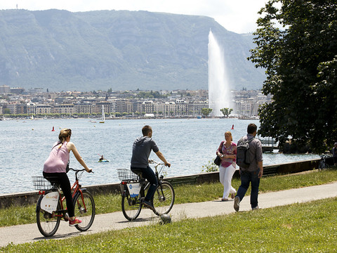 La qualité de l'air s'est améliorée à Genève en 2016