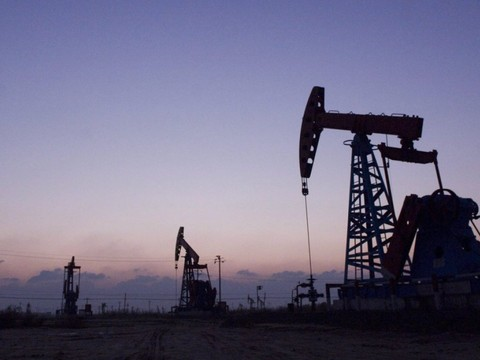 L'Opep va prolonger son effort de baisse de production