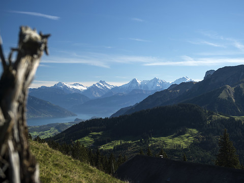 Chute en gravissant le Mönch: un Allemand perd la vie