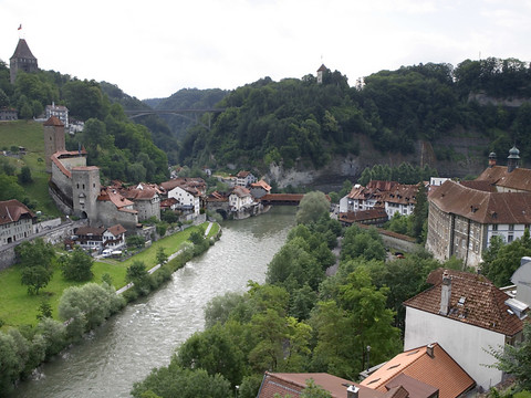 Des milliers de poissons ont péri dans la Sarine à Fribourg