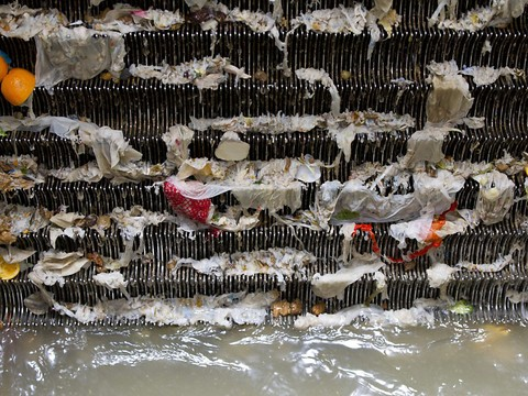 Ecosystème affecté par les micropolluants en aval des STEP