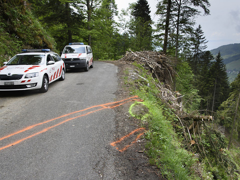 Accident mortel de Caux: le conducteur de 18 ans avait bu