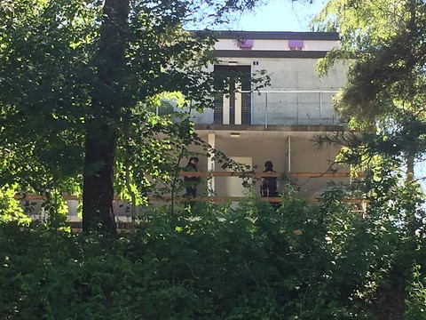 Un homme armé se barricade dans son appartement à Uster (ZH)