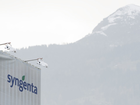 Syngenta sur le point de céder ses semences de betteraves