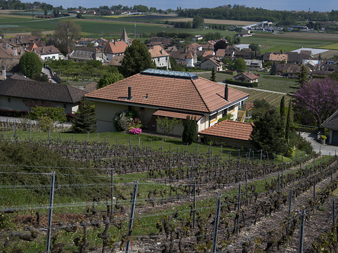 La réforme de la fiscalité agricole est enterrée
