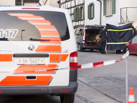 La défense réfute l'assassinat dans le procès du meurtre d'Hemmental (SH)