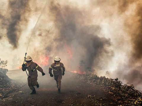Soixante-deux morts dans un incendie de forêt au Portugal