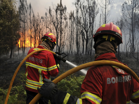 Pas de répit sur le front des incendies - le pays pleure 62 morts