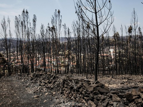 Les pompiers ont maîtrisé les principaux feux de forêt au Portugal