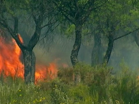 Un incendie dans le sud-ouest de l'Espagne entraîne des évacuations