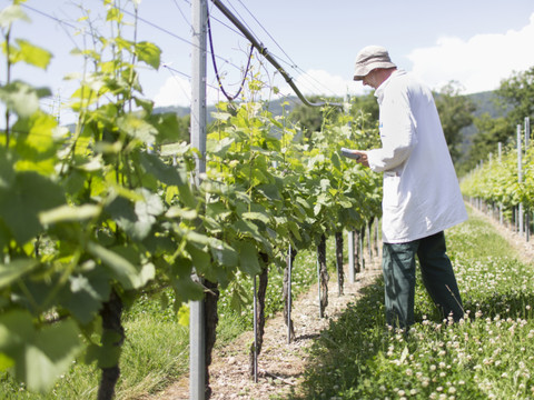 ChemChina veut doubler les ventes de Syngenta avant 10 ans