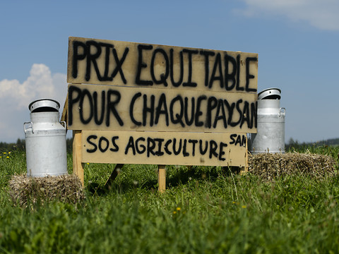 Les paysans tirent un bilan en demi-teinte sur les prix du lait