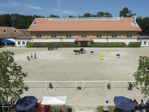Plusieurs sinistres dans la Broye- Entre 10 et 15 chevaux ont péri
