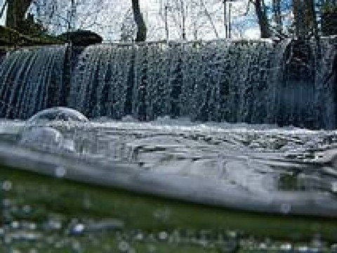Biodiversité: la Suisse est bien loin de ses objectifs