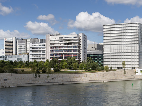 Novartis affiche des résultats en baisse au premier semestre