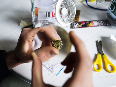 Début de la vente de cannabis en pharmacie