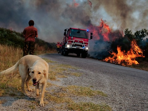 Des feux au Monténégro, foyers maîtrisés en Croatie et au Portugal