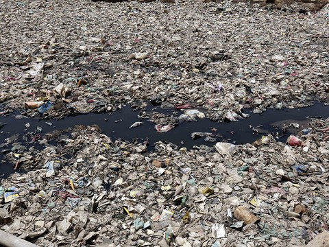 Des milliards de tonnes de plastiques s'accumulent dans la nature