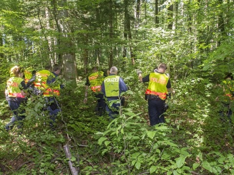 Corps carbonisé découvert dans une forêt près d'Amriswil (TG)