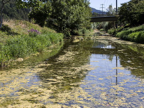 De nombreux cantons interdisent le pompage dans les cours d'eau