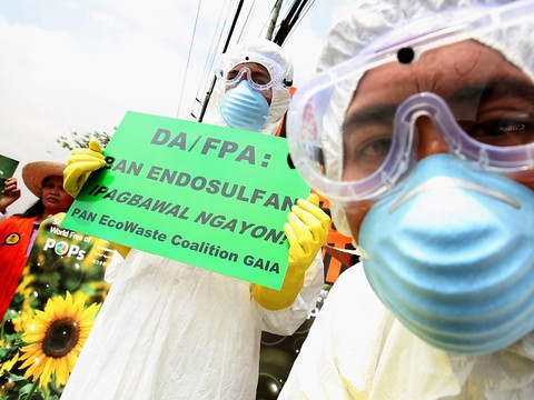 Un insecticide responsable du décès de 13 enfants au Bangladesh