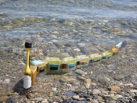 Un robot-anguille pour traquer les sources de pollution