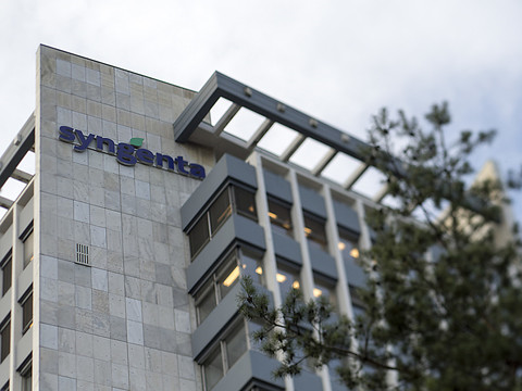 Syngenta voit son bénéfice semestriel reculer de 13%