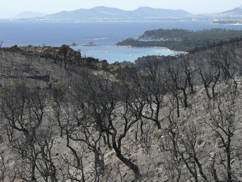 Trois personnes déférées après les incendies des Bouches-du-Rhône