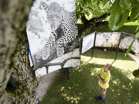 Bremblens: la photographie en son jardin