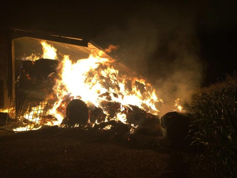 Trente-six bovins tués dans l'incendie d'une ferme à Domdidier (FR)